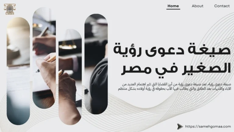 صيغة دعوى رؤية