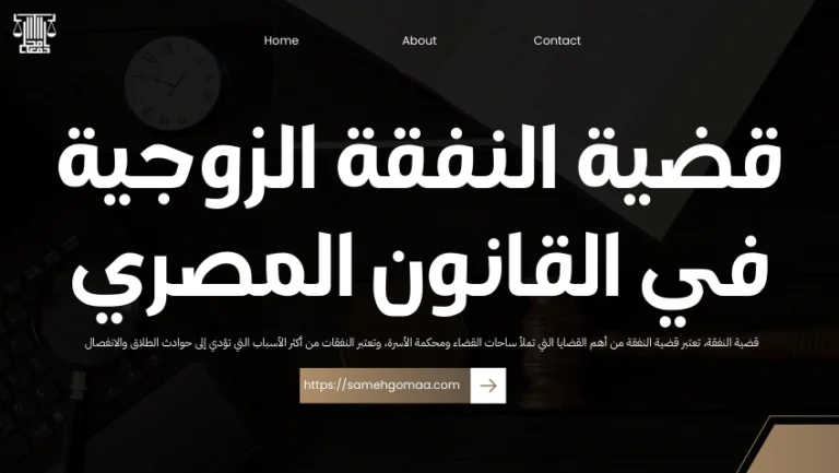 قضية النفقة