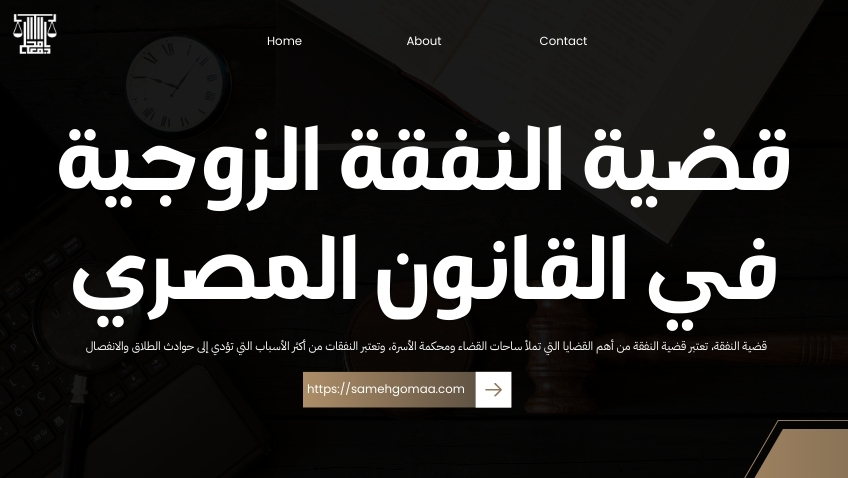 قضية النفقة