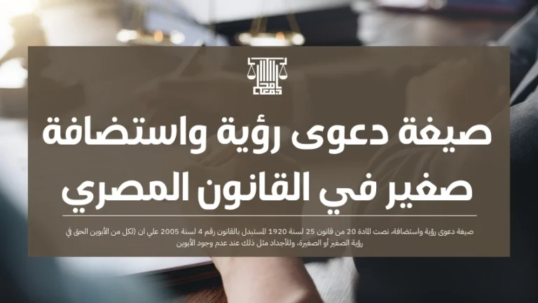 صيغة دعوى رؤية واستضافة