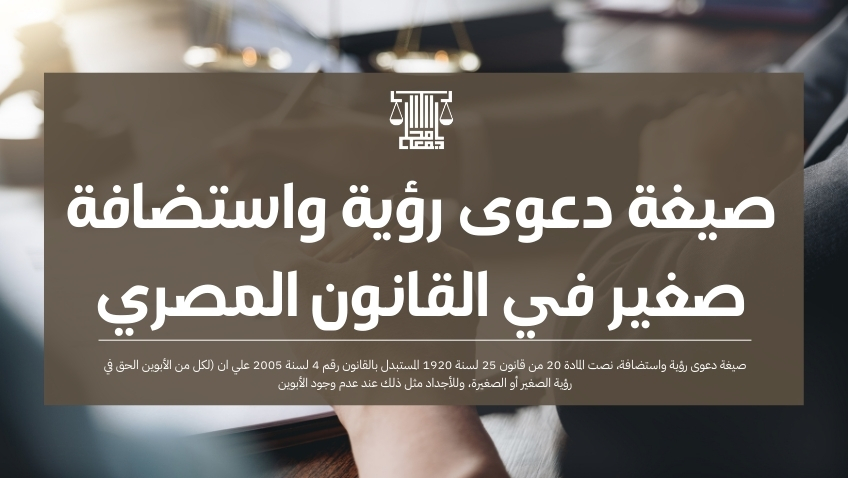 صيغة دعوى رؤية واستضافة