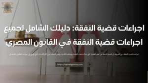 اجراءات قضية النفقة