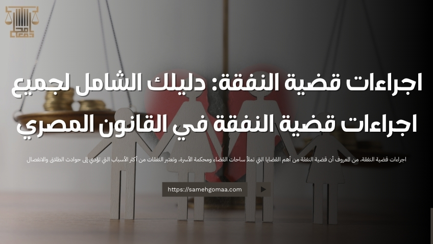 اجراءات قضية النفقة