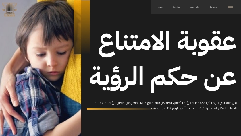 قضية الرؤية للأطفال